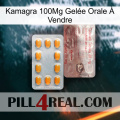Kamagra 100Mg Gelée Orale À Vendre new13